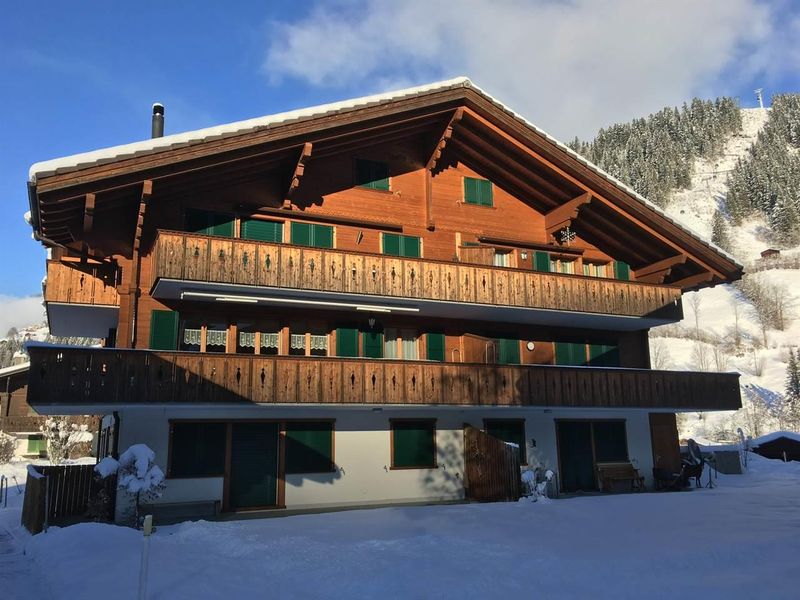 Rückansicht Chalet LenkDänk