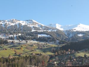 19049139-Ferienwohnung-4-Lenk im Simmental-300x225-5