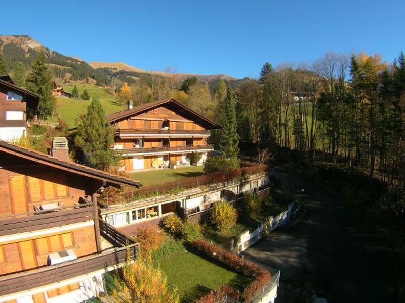 19461821-Ferienwohnung-6-Lenk im Simmental-800x600-1