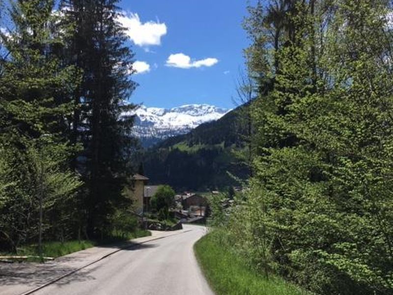 19461821-Ferienwohnung-6-Lenk im Simmental-800x600-2