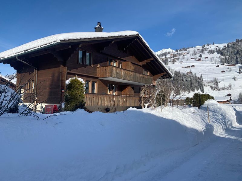 23907650-Ferienwohnung-8-Lenk im Simmental-800x600-0