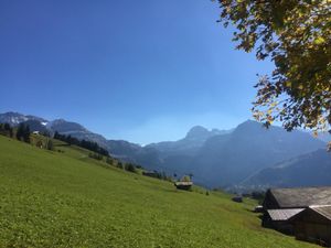 19052890-Ferienwohnung-2-Lenk im Simmental-300x225-3