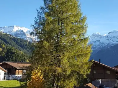 Hauptbild Sommer