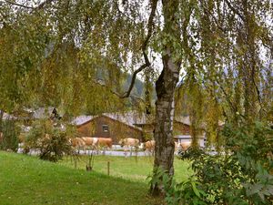 18963722-Ferienwohnung-4-Lenk im Simmental-300x225-5