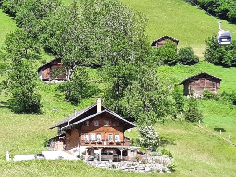 23855529-Ferienwohnung-4-Lenk im Simmental-800x600-0