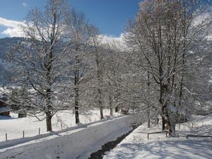 23837981-Ferienwohnung-5-Lenk im Simmental-300x225-3