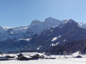 23837991-Ferienwohnung-3-Lenk im Simmental-300x225-4