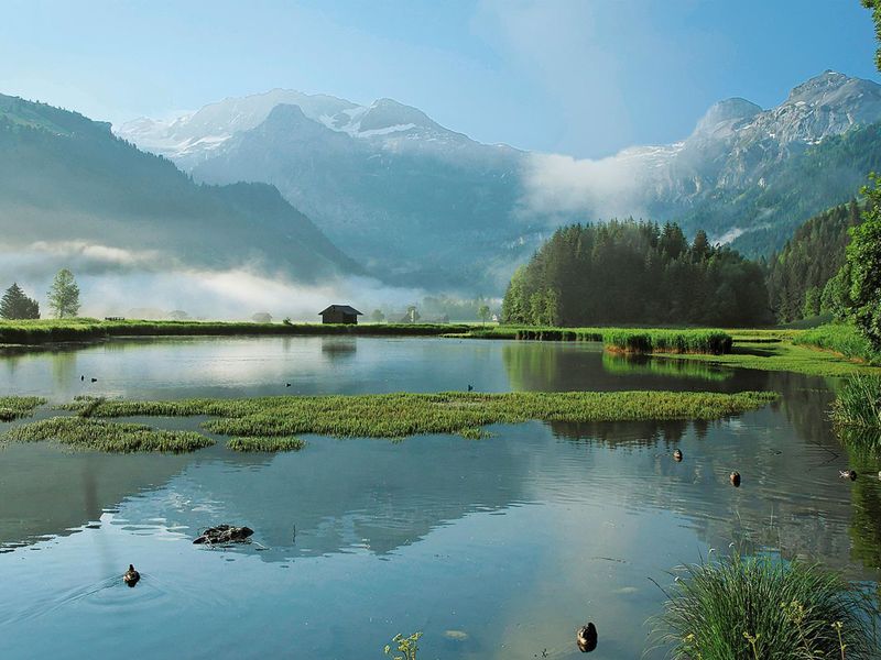 23843635-Ferienwohnung-8-Lenk im Simmental-800x600-2