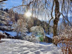 18963722-Ferienwohnung-4-Lenk im Simmental-300x225-5