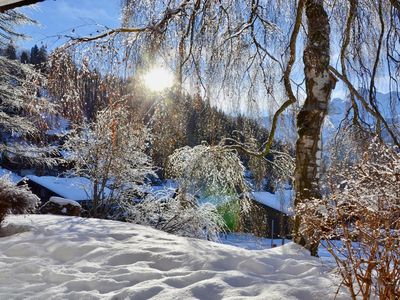 Garten im Schnee