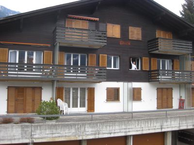 Chalet Grüenegg