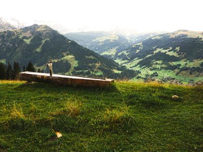 Wandern Bühlberg