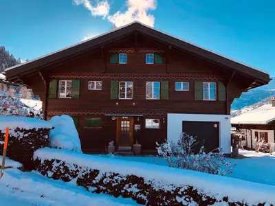 Chalet Träumli im Winter 3