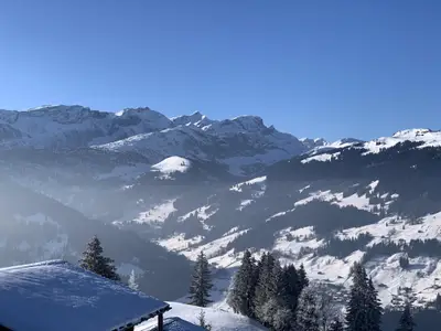 Aussicht zum Wildhorn