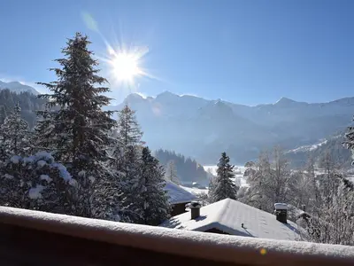 Aussicht vom Balkon im Winter