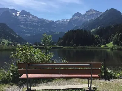 Lenkerseeli