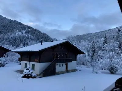 Chalet Reseda Winter