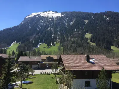 Blick von der Terrasse zum Flöschhorn