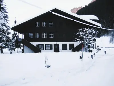 Ferienwohnung für 4 Personen (50 m²) in Lenk im Simmental 2/10