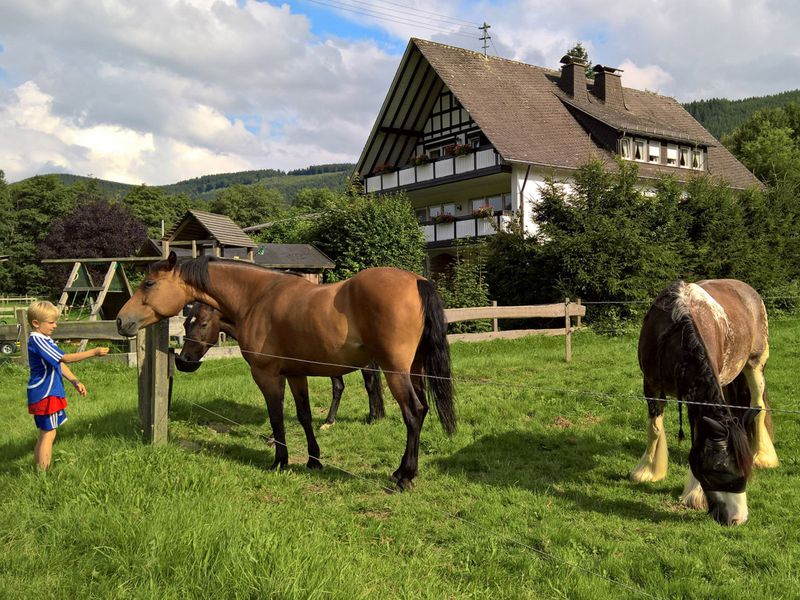 23534706-Ferienwohnung-4-Lennestadt-800x600-2