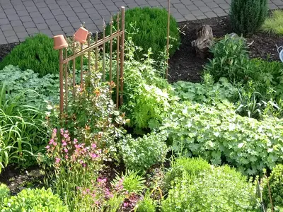 Garten