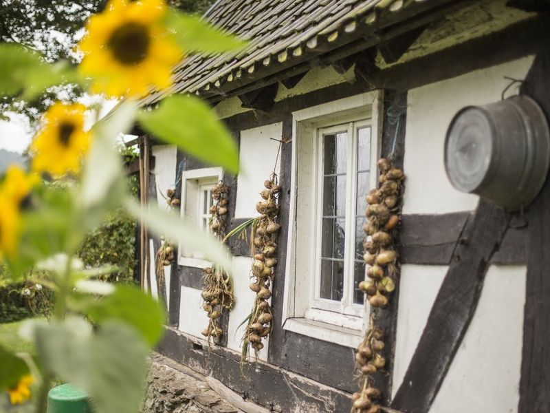 23115445-Ferienwohnung-6-Lennestadt-800x600-1