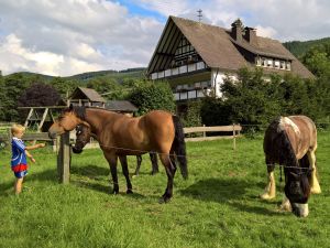 23534707-Ferienwohnung-4-Lennestadt-300x225-2