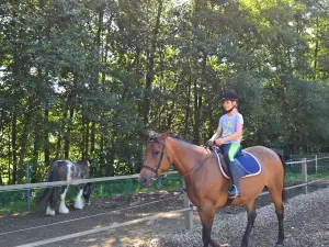 Ferienwohnung für 4 Personen (65 m²) in Lennestadt