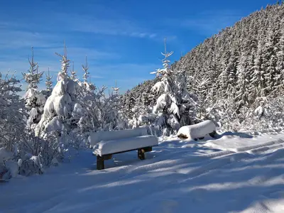 Ferienwohnung für 4 Personen (65 m²) in Lennestadt 1/10