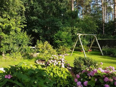 Ferienwohnung für 4 Personen (60 m²) in Lenz 3/10