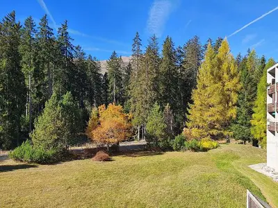 Ferienwohnung für 4 Personen (55 m²) in Lenzerheide/Lai 10/10