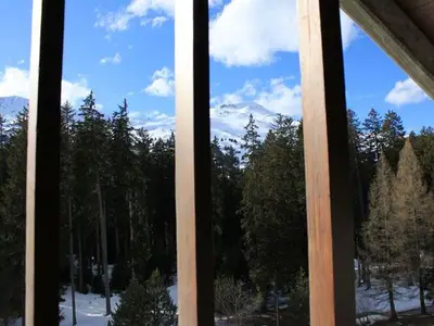 Ferienwohnung für 4 Personen (67 m²) in Lenzerheide/Lai 10/10