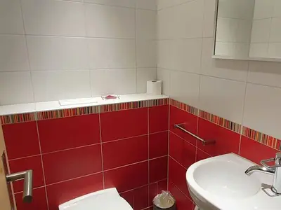 Ferienwohnung für 4 Personen (55 m²) in Lenzerheide/Lai 9/10