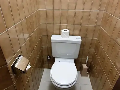 Ferienwohnung für 5 Personen (72 m²) in Lenzerheide/Lai 10/10