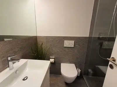 Ferienwohnung für 5 Personen (55 m²) in Lenzerheide/Lai 10/10