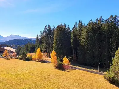 Ferienwohnung für 4 Personen (52 m²) in Lenzerheide/Lai 9/10