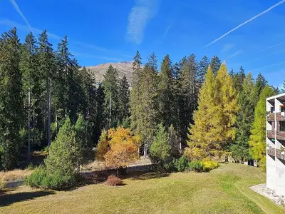 Ferienwohnung für 4 Personen (52 m²) in Lenzerheide/Lai 10/10