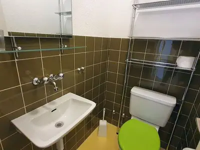 Ferienwohnung für 4 Personen (55 m²) in Lenzerheide/Lai 9/10