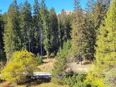 Ferienwohnung für 4 Personen (55 m²) in Lenzerheide/Lai 10/10
