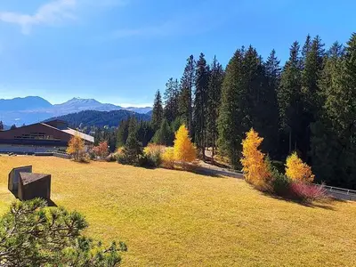 Ferienwohnung für 4 Personen (67 m²) in Lenzerheide/Lai 10/10