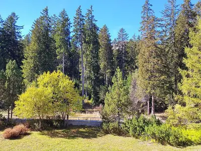 Ferienwohnung für 5 Personen (55 m²) in Lenzerheide/Lai 10/10