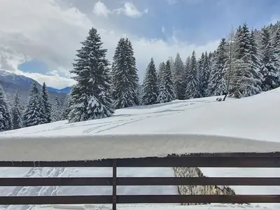 Ferienwohnung für 6 Personen (120 m²) in Lenzerheide/Lai 8/10