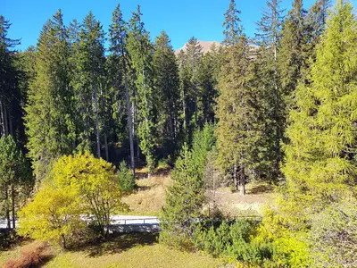 Aussicht vom Wohnzimmer/Balkon aus