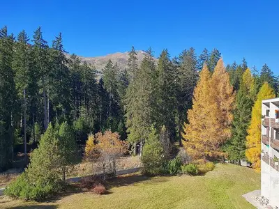 Ferienwohnung für 5 Personen (55 m²) in Lenzerheide/Lai 10/10