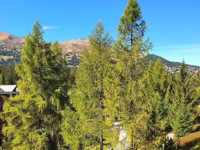 Ferienwohnung für 5 Personen (55 m²) in Lenzerheide/Lai 10/10