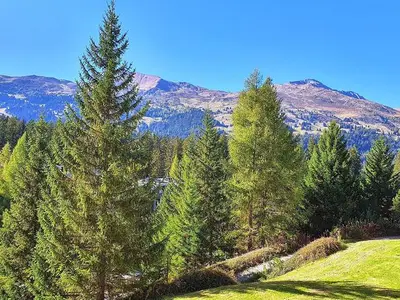 Ferienwohnung für 3 Personen (51 m²) in Lenzerheide/Lai 8/9