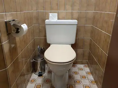 Ferienwohnung für 5 Personen (55 m²) in Lenzerheide/Lai 9/10