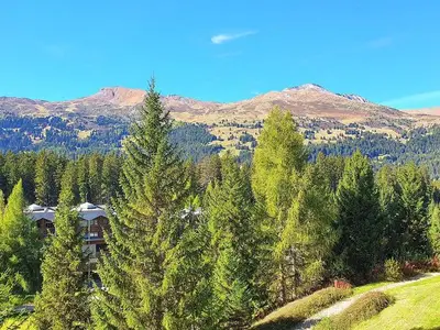 Ferienwohnung für 5 Personen (55 m²) in Lenzerheide/Lai 10/10