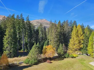 Ferienwohnung für 5 Personen (67 m²) in Lenzerheide/Lai 10/10