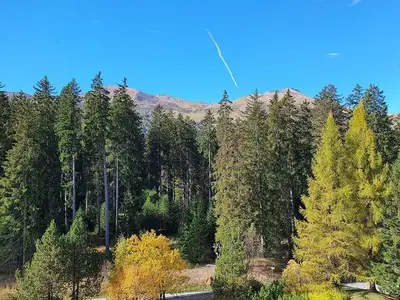 Ferienwohnung für 5 Personen (55 m²) in Lenzerheide/Lai 10/10